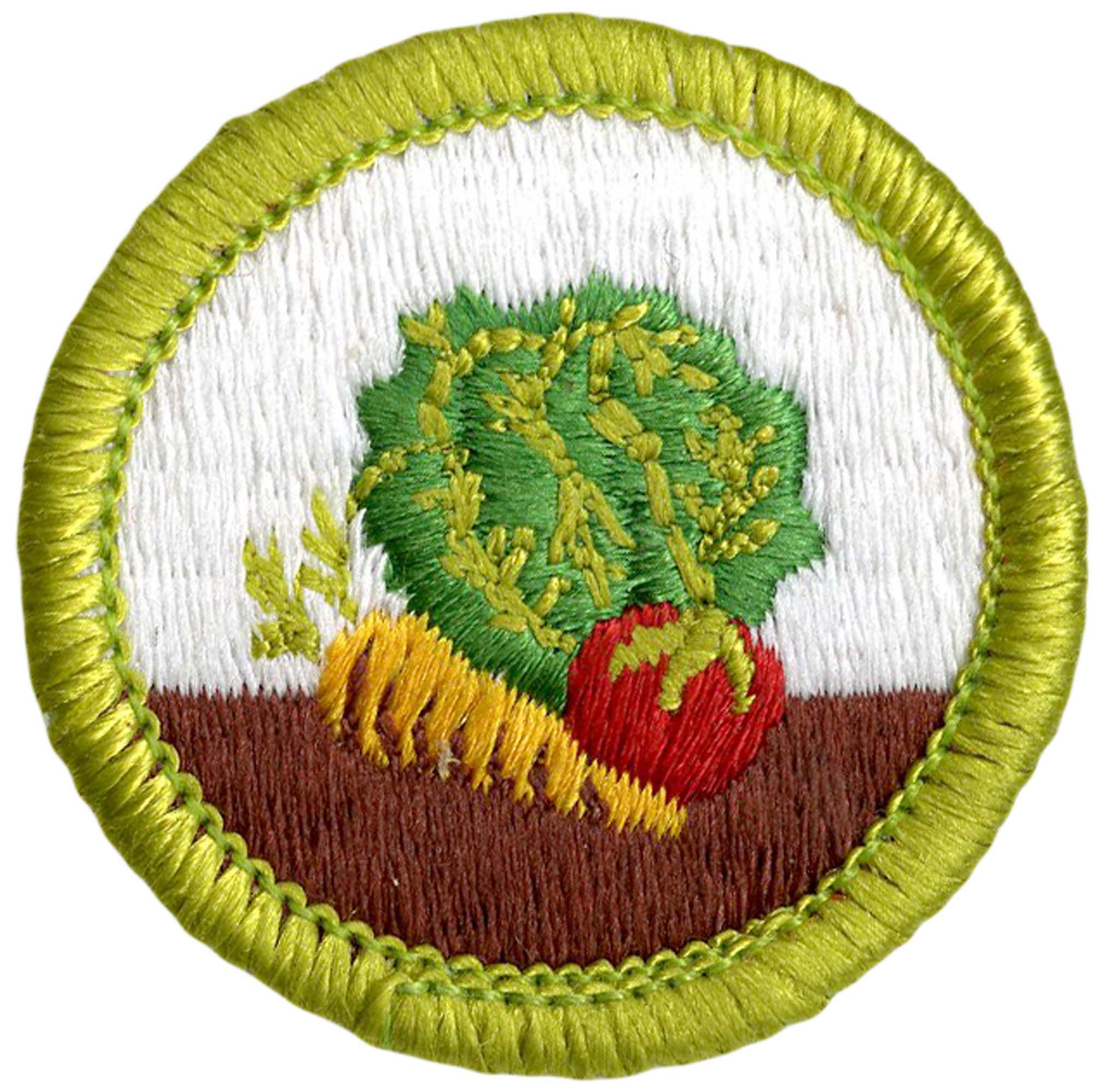 BOY SCOUTS Details about   HANDICRAFT TYPE E  HOME REPAIRS  MERIT BADGE X208 