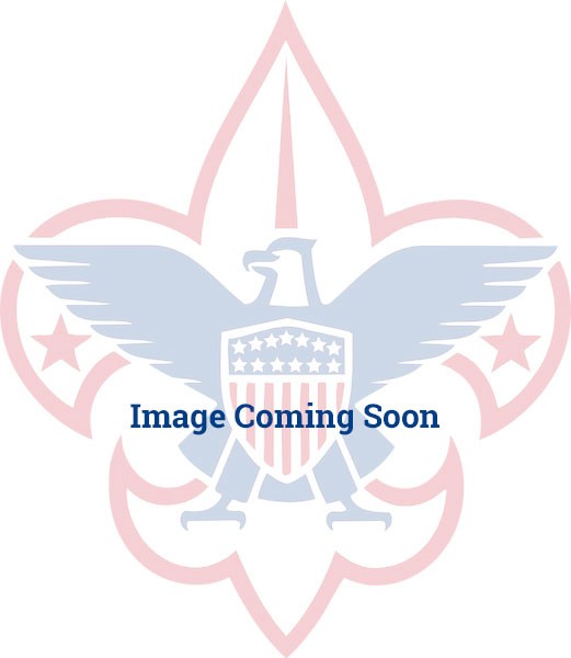 Boy Scout Badge Emblem Patch BSA Discontinued 2015 now Scout Rank Clear Back 