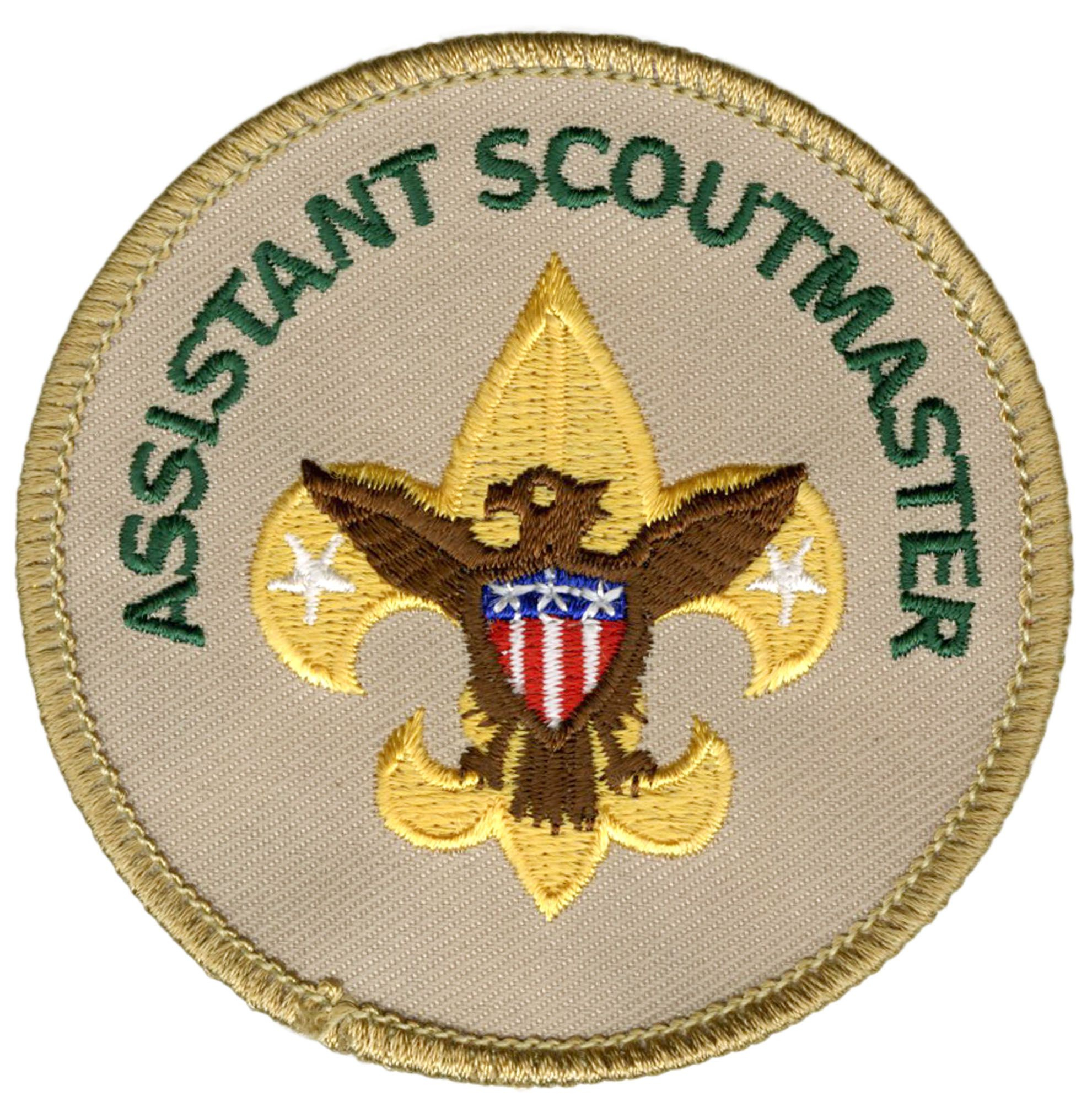 SCOUT STUFF BACKING BSA INSIGNIA…TROOP COMMITTEE BADGE…POST 2002 