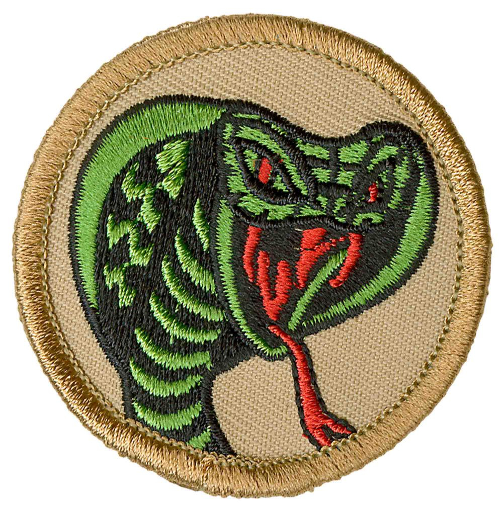 Awesome Boy Scout Patches #E006 B.O.A.S Patrol!