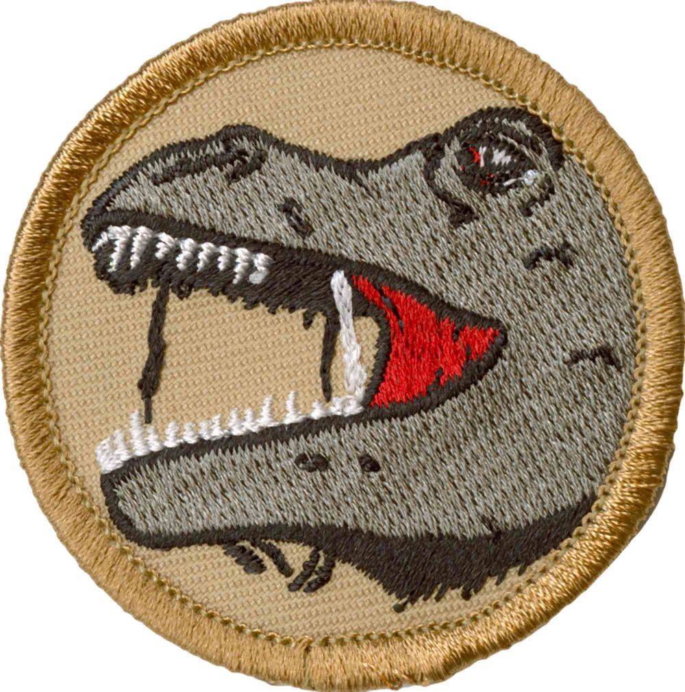 Raven Patrol Woven Cloth Patch Badge Boy Scouts Scouting