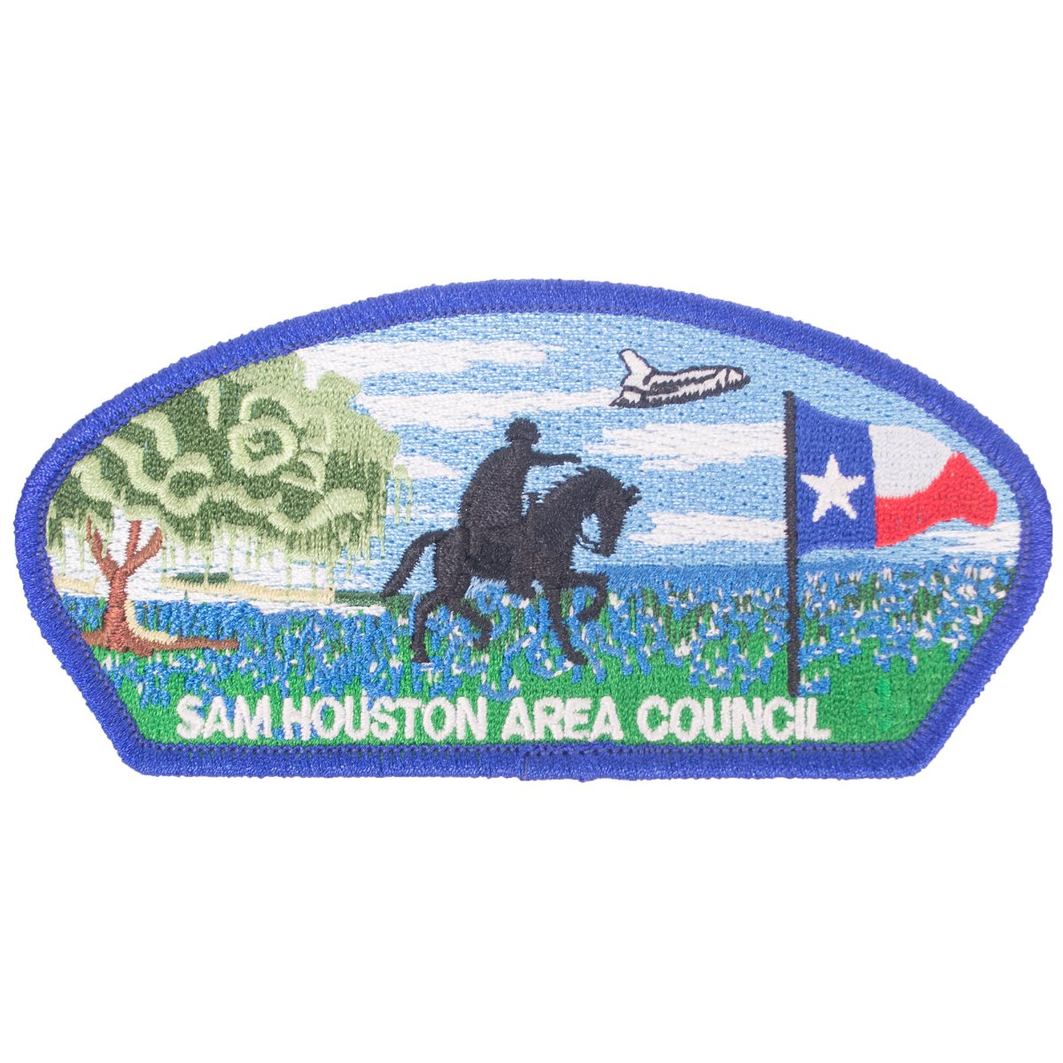Boy Scouts BSA Sam Houston Area Council Scouting for Food 2011 temporary patch 