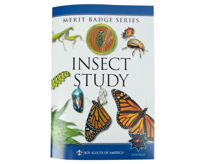 Insect Study