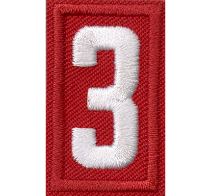 BSA Cub Scout Den Number Patch Number 4 