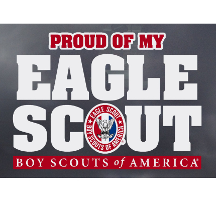 BOY SCOUT OFFICIAL COLLECTORS PROUD EAGLE SCOUT BUMPER STICKER FOR MOM DADS CAR