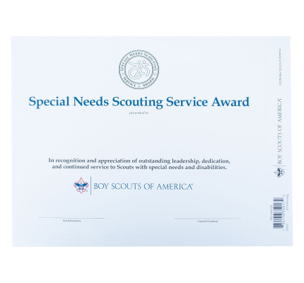 BOY SCOUT AMERICA SPECIAL NEEDS SCOUTING SERVICE AWARD WALL CERTIFICATE OFFICIAL 