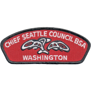 BSA Boy Scouts MINT Pine Tree Council CSP 