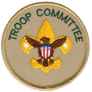 Boy Scouts of America Rare Regional Vice President Emblem Patch Brand 3" New BSA 