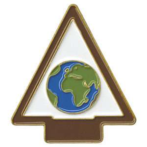 Boy Scouts Official Licensed Arrow of Light Award Emblem Pin Jamboree OA Webelos